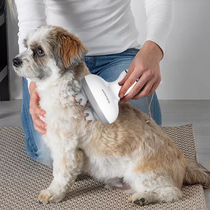 Draadloze waterdichte elektris - Scalp Massager Electric recensie en prijs