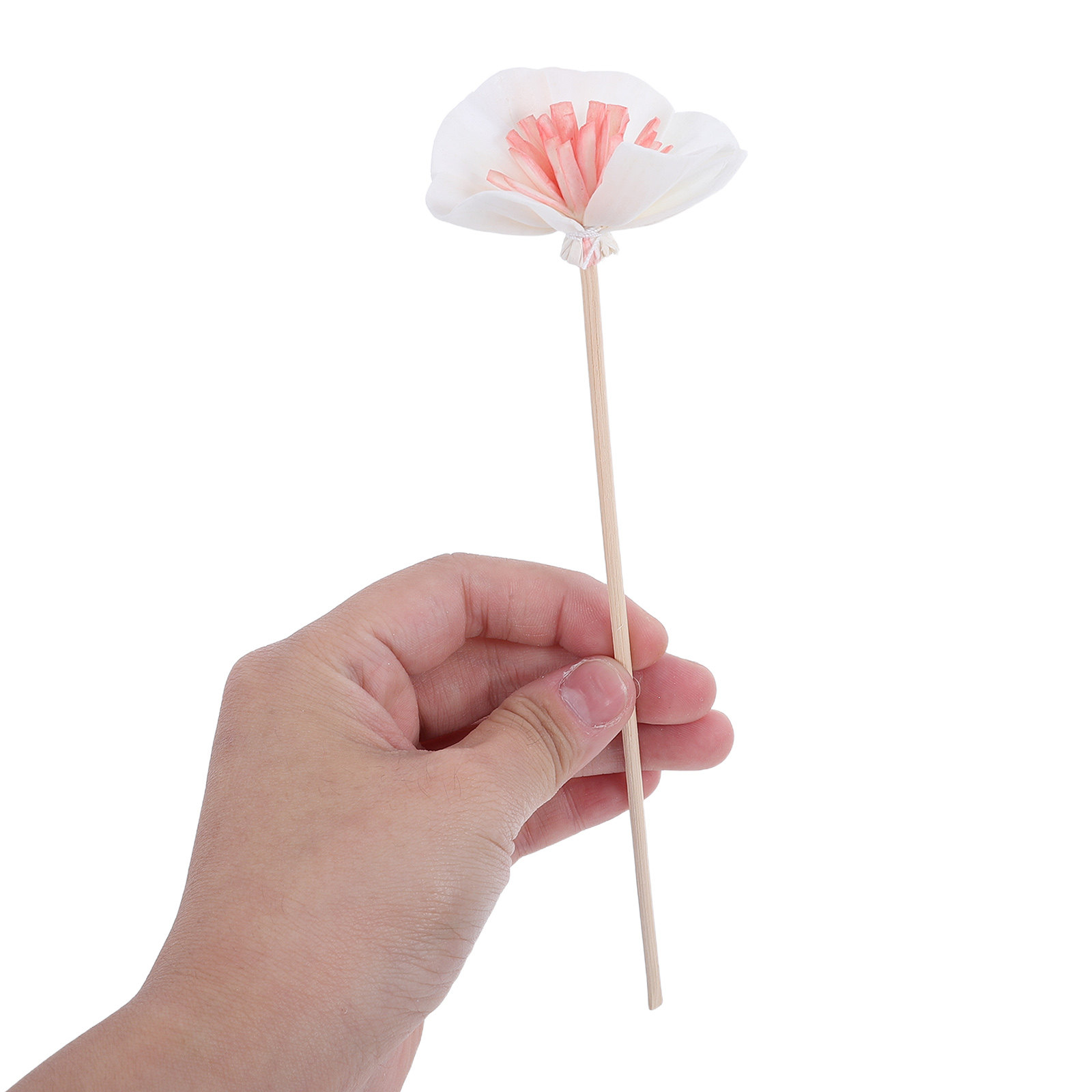 10 Stuks Essentiële Olie Diffu - Aromatherapy Diffuser recensie en prijs