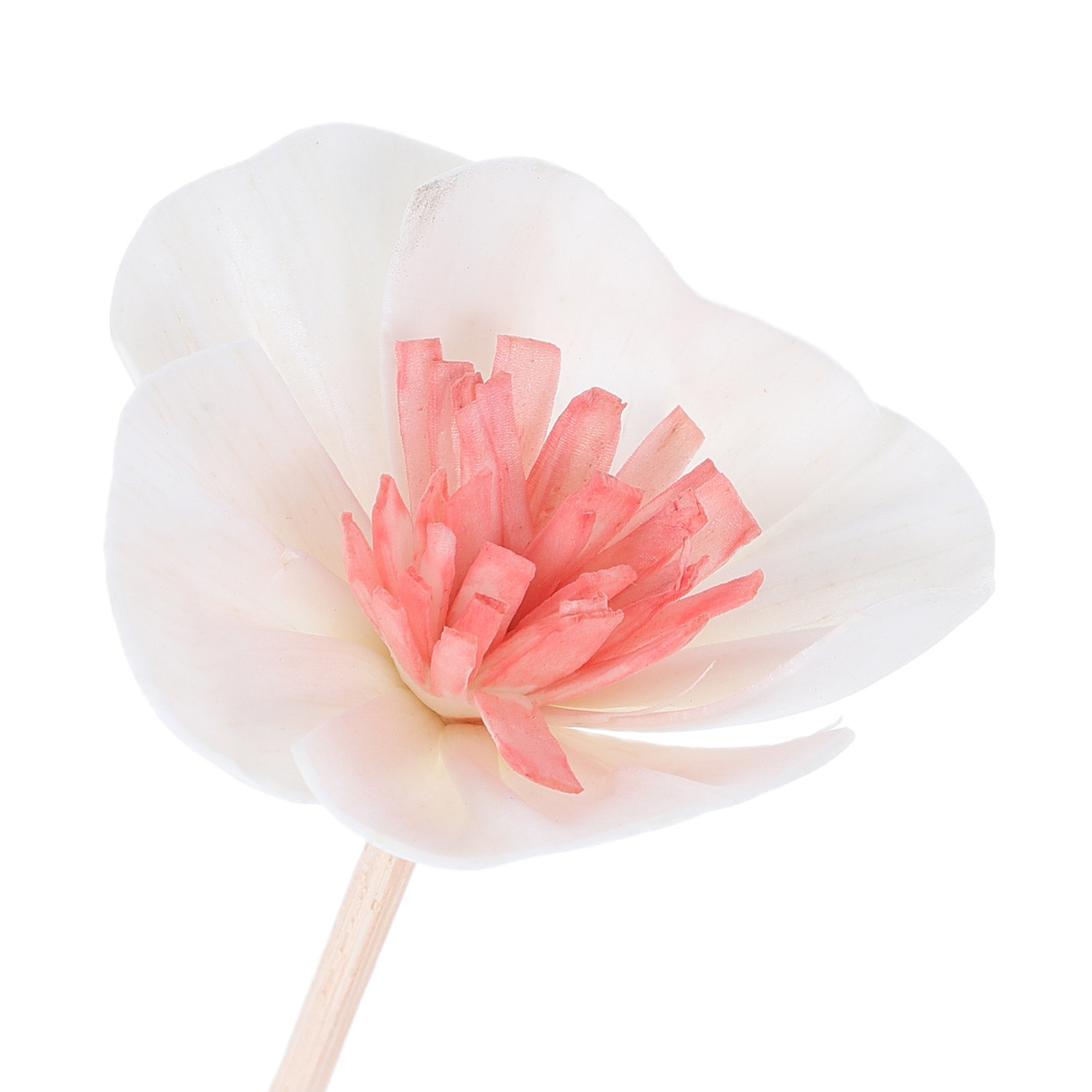 10 Stuks Essentiële Olie Diffu - Aromatherapy Diffuser recensie en prijs