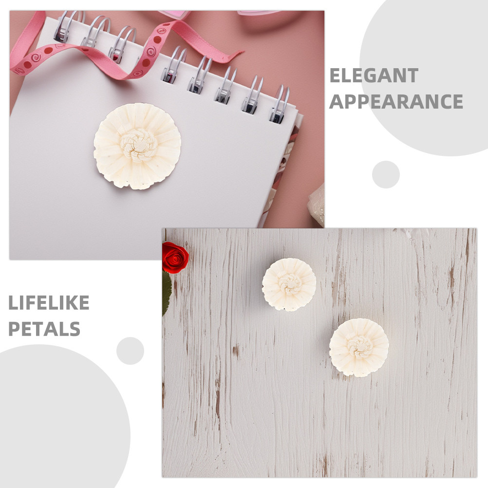 8 stuks bloemendiffuser Sola C - Aromatherapy Diffuser recensie en prijs